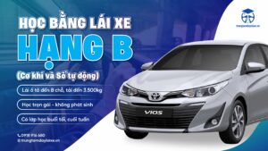 trung-tam-day-lai-xe-can-tho-hoc-lai-xe-bang-B